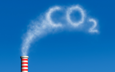 Cómo reducir la huella de carbono en tu flota de transporte