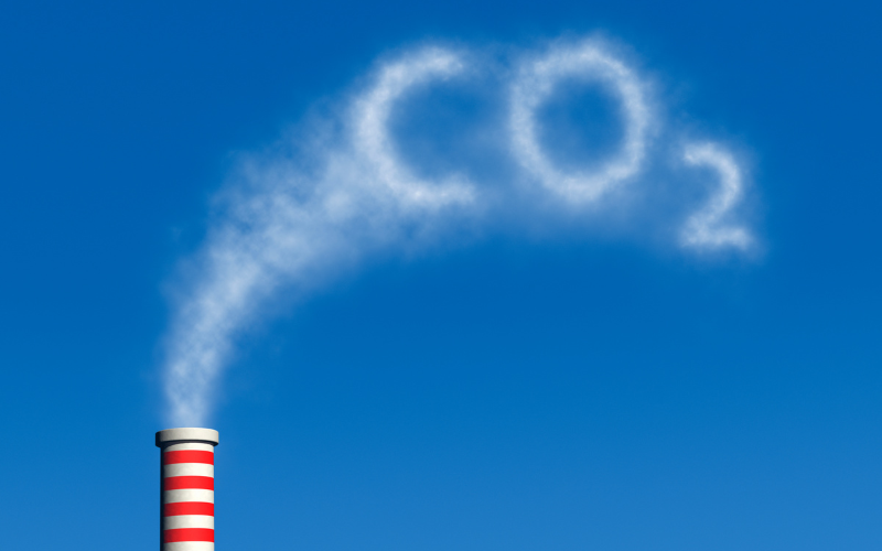 Muffaletta (4) Cómo Reducir la Huella de Carbono en el Transporte